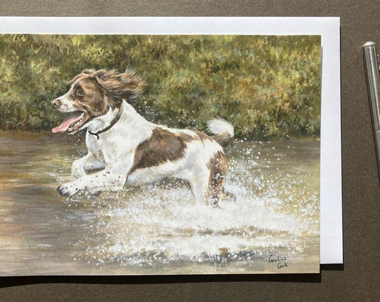 Caroline Cook Equestrian Cards Making A Splash - Ashurst Equestrian & Country
