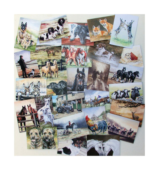 Caroline Cook Equestrian & Countryside Cards - Ashurst Equestrian & Country