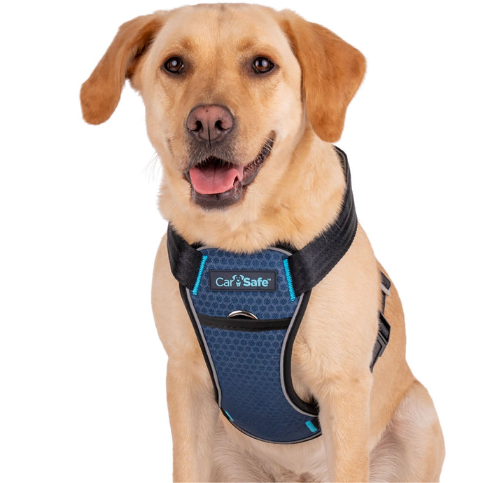 Carsafe Crash Tested Dog Harness - Ashurst Equestrian & Country