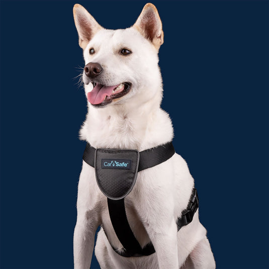 Carsafe Dog Travel Harness - Ashurst Equestrian & Country