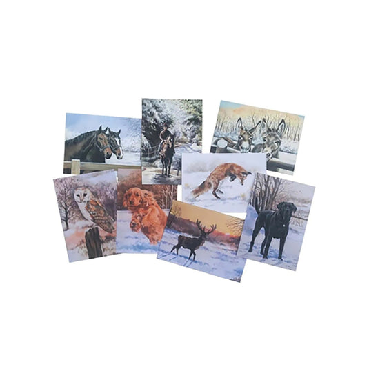 Cavallo Complete Bfb Fit Kit - Ashurst Equestrian & Country