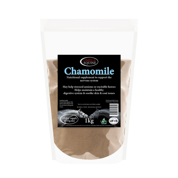 Chamomile - Ashurst Equestrian & Country