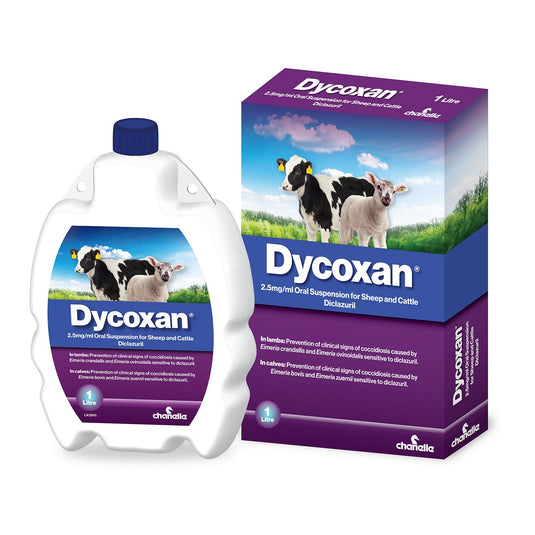 Chanelle Dycoxan 2.5 Mg/Ml Oral Suspension - Ashurst Equestrian & Country
