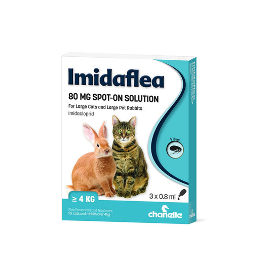 Chanelle Imidaflea 80 Gm Spot On For Cats & Rabbits Over 4 Kg - Ashurst Equestrian & Country