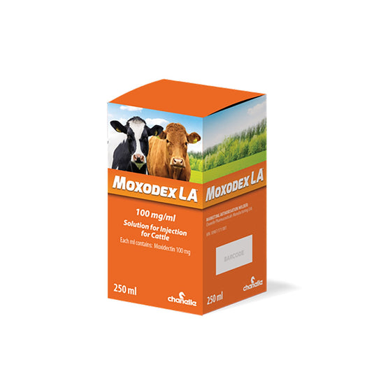 Chanelle Moxodex La 100 Mg/Ml Solution For Injection - Ashurst Equestrian & Country