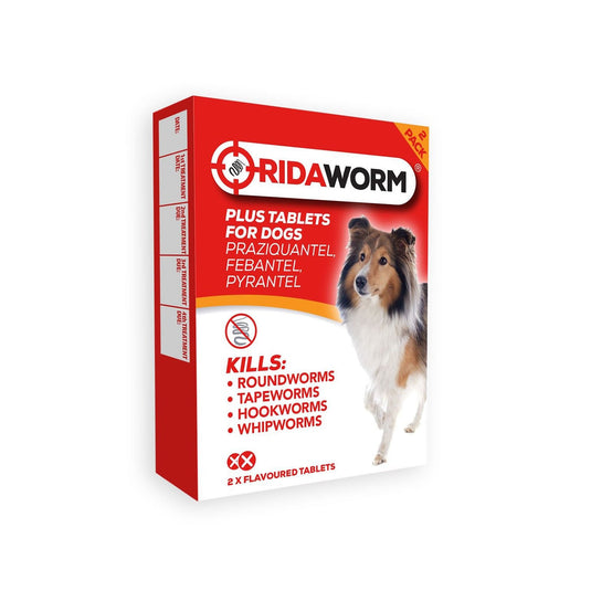 Chanelle Ridaworm Plus Dog Tablets - Ashurst Equestrian & Country