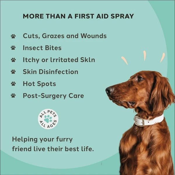 Load image into Gallery viewer, Charlie The Vet Antiseptic Wound &amp; Skin Care Spray for All Animals 100ml - Ashurst Equestrian &amp; Country
