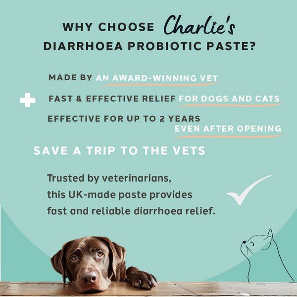 Load image into Gallery viewer, Charlie The Vet Diarrhoea Care Probiotic Paste For Dogs &amp; Cats 60ml - Ashurst Equestrian &amp; Country
