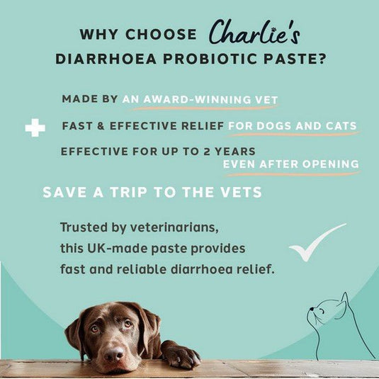 Charlie The Vet Diarrhoea Care Probiotic Paste For Dogs & Cats 60ml - Ashurst Equestrian & Country
