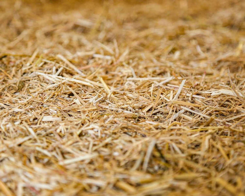 Load image into Gallery viewer, ChickSoft Bedding 16kg - Ashurst Equestrian &amp; Country
