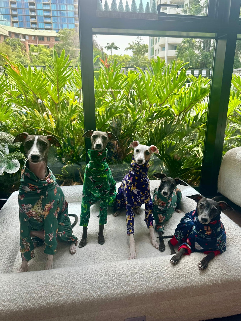 Load image into Gallery viewer, Christmas Jersey Suit - Divine Angels - Ashurst Equestrian &amp; Country
