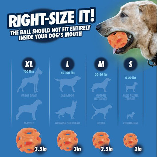 Chuckit! Air Fetch Stick Large - Ashurst Equestrian & Country
