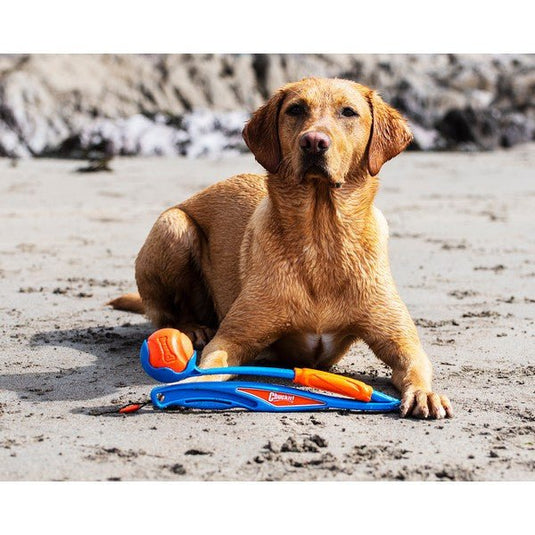 Chuckit! Fetch & Fold Launcher - Ashurst Equestrian & Country