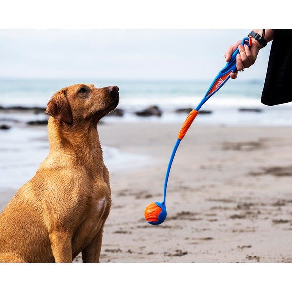 Load image into Gallery viewer, Chuckit! Fetch &amp; Fold Launcher - Ashurst Equestrian &amp; Country
