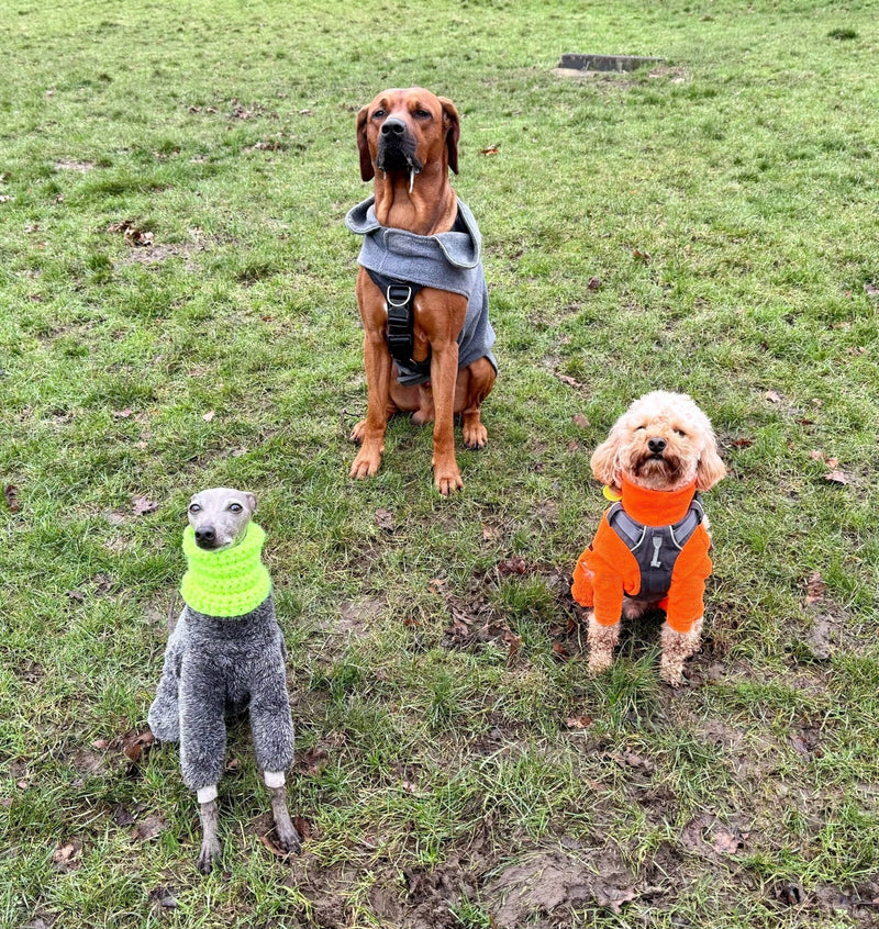 Load image into Gallery viewer, Chunky Knitted Snood - Hi - Vis Yellow - Ashurst Equestrian &amp; Country
