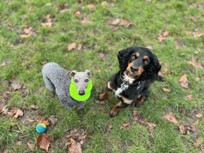 Load image into Gallery viewer, Chunky Knitted Snood - Hi - Vis Yellow - Ashurst Equestrian &amp; Country
