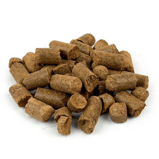 Cinnamon (True) Treats - Ashurst Equestrian & Country