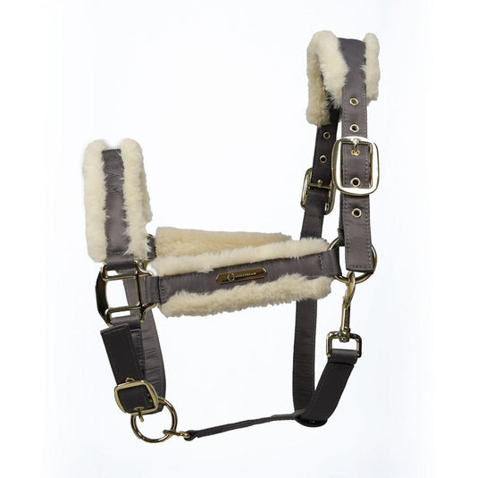Coldstream Langlee Luxury Headcollar & Lead Rope Grey - Ashurst Equestrian & Country