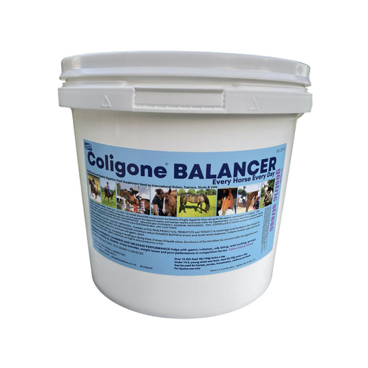Coligone Balancer Powder - Ashurst Equestrian & Country