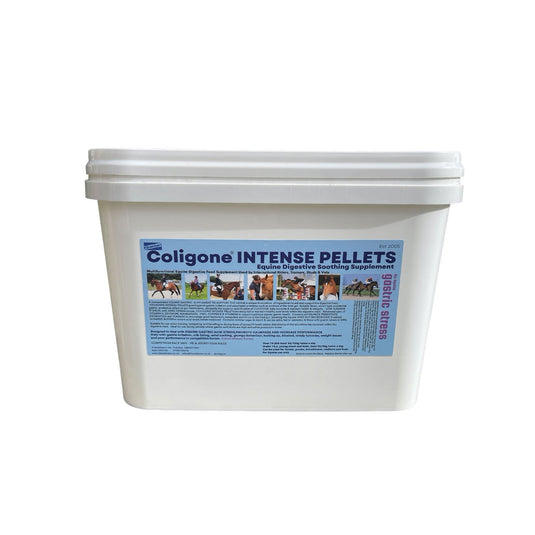 Coligone Intense Pellets - Ashurst Equestrian & Country