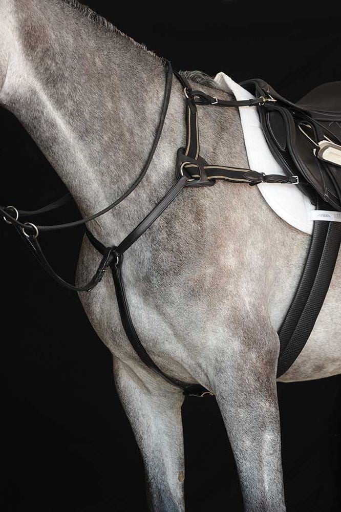 Load image into Gallery viewer, Collegiate 5 Point Breastplate - Ashurst Equestrian &amp; Country
