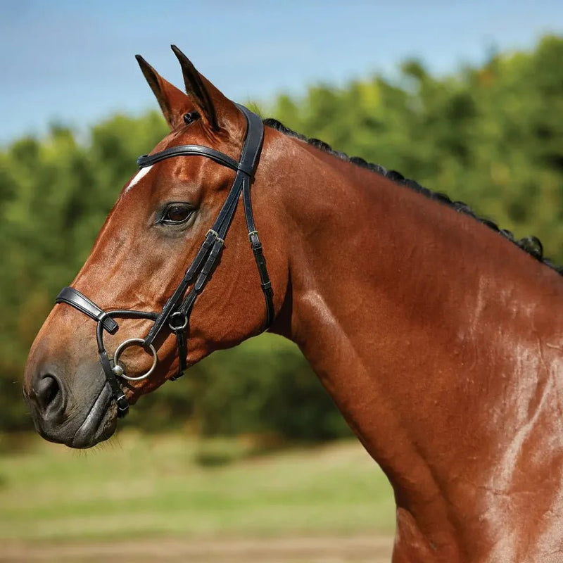 Load image into Gallery viewer, Collegiate Comfitec Training Bridle - Ashurst Equestrian &amp; Country
