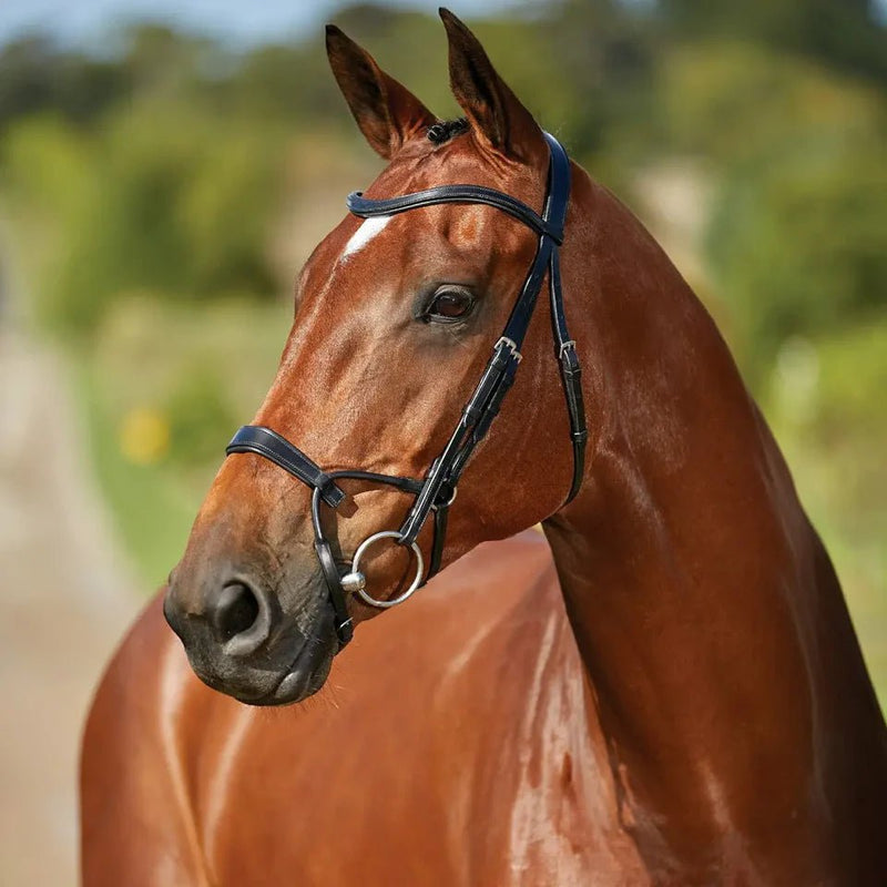 Load image into Gallery viewer, Collegiate Comfitec Training Bridle - Ashurst Equestrian &amp; Country
