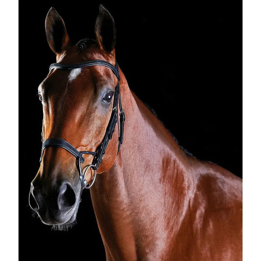 Collegiate Comfitec Training Bridle - Ashurst Equestrian & Country