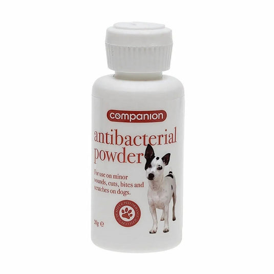 Companion Antibacterial Powder - Ashurst Equestrian & Country