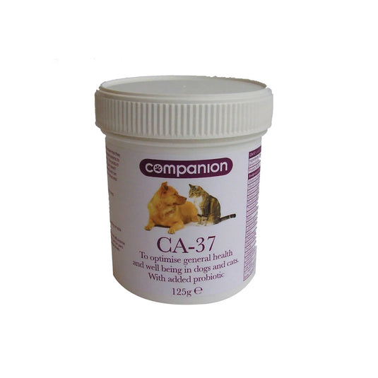 Companion Ca 37 - Ashurst Equestrian & Country
