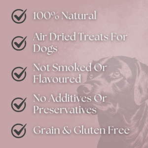 Copdock Mill Natural Dog Treat Gift Box approx 1kg - Ashurst Equestrian & Country