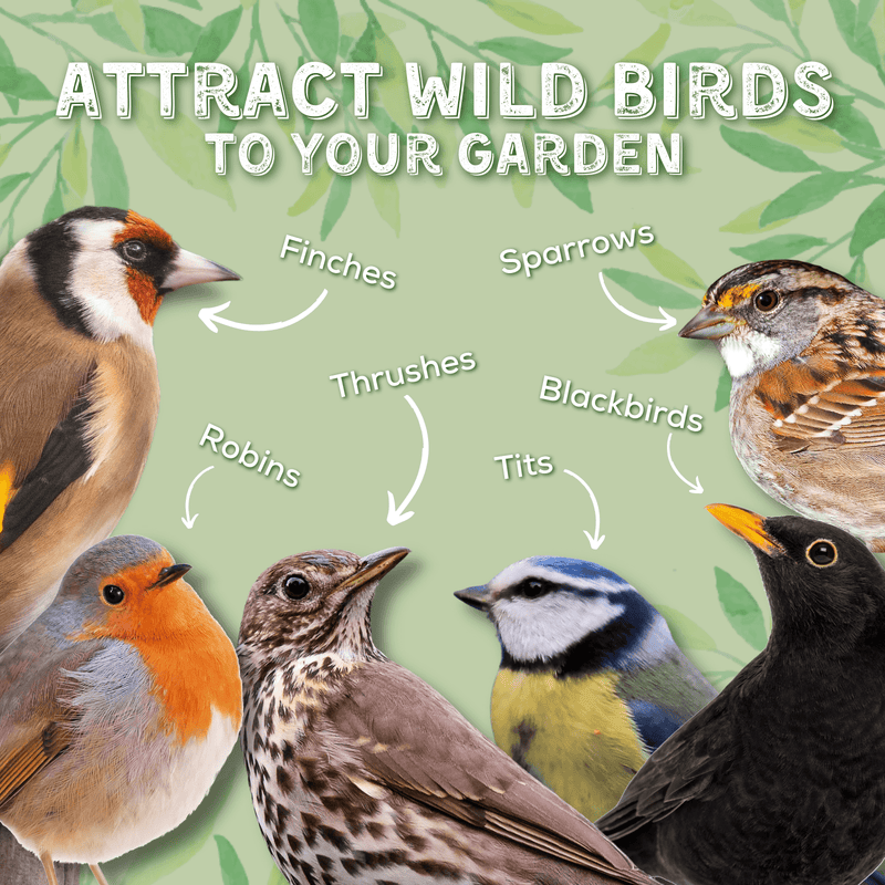 Load image into Gallery viewer, Copdock Mill Summer Wild Bird Mix - Ashurst Equestrian &amp; Country
