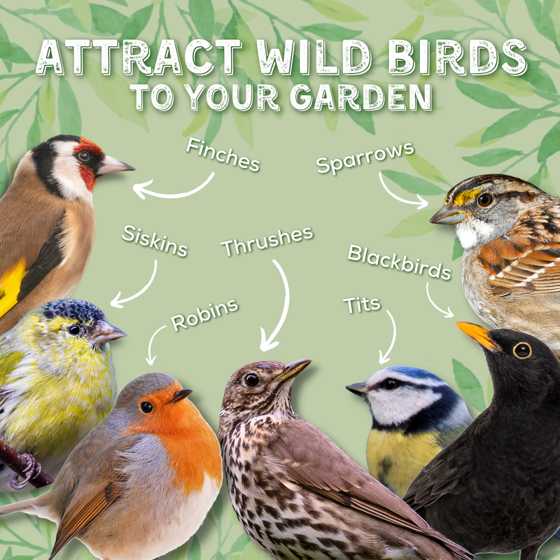 Load image into Gallery viewer, Copdock Mill Wheat Free Wild Bird Mix - Ashurst Equestrian &amp; Country
