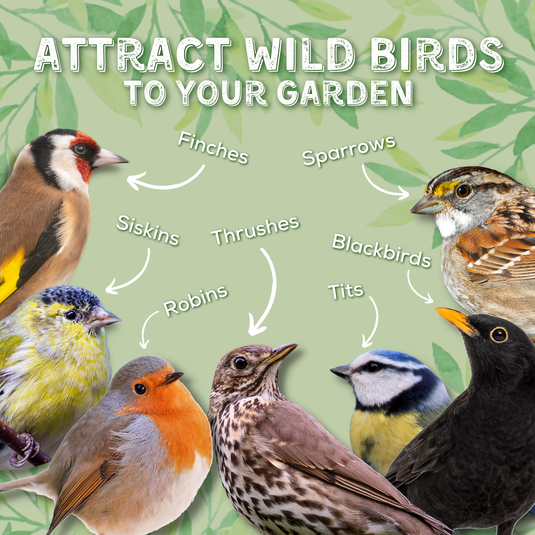 Copdock Mill Wheat Free Wild Bird Mix - Ashurst Equestrian & Country
