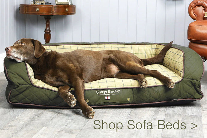 Country Dog Sofa Bed - Olive Green - Ashurst Equestrian & Country