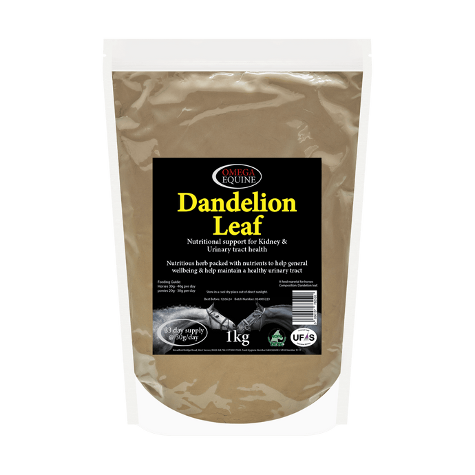 Dandelion - Ashurst Equestrian & Country