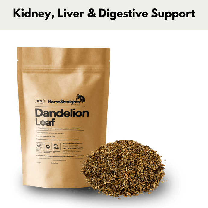 Dandelion Leaf Chopped - Ashurst Equestrian & Country