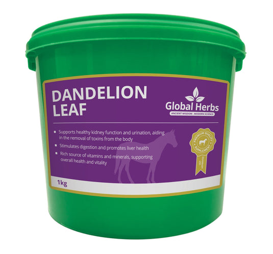 Dandelion Leaf - Global Herbs - Ashurst Equestrian & Country