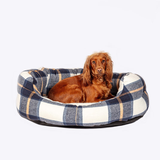 Danish Design Bowmore Deluxe Slumber Bed Navy - Ashurst Equestrian & Country