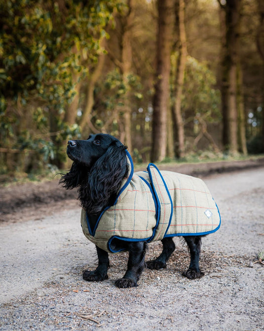 Danish Design Dog Coat Tweed - Ashurst Equestrian & Country