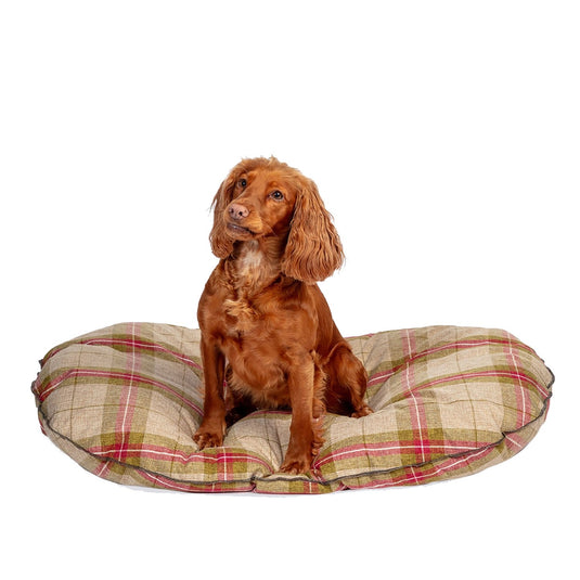 Danish Design Newton Quilted Mattress Moss - Ashurst Equestrian & Country