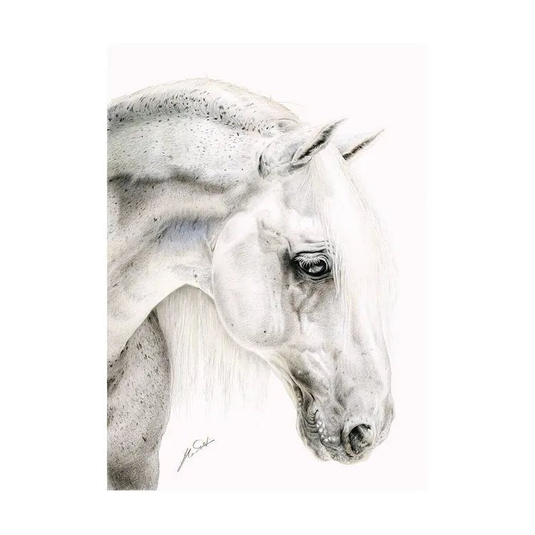 Load image into Gallery viewer, Deckled Edge Eureka! A4 Print A Bitten Grey - Ashurst Equestrian &amp; Country
