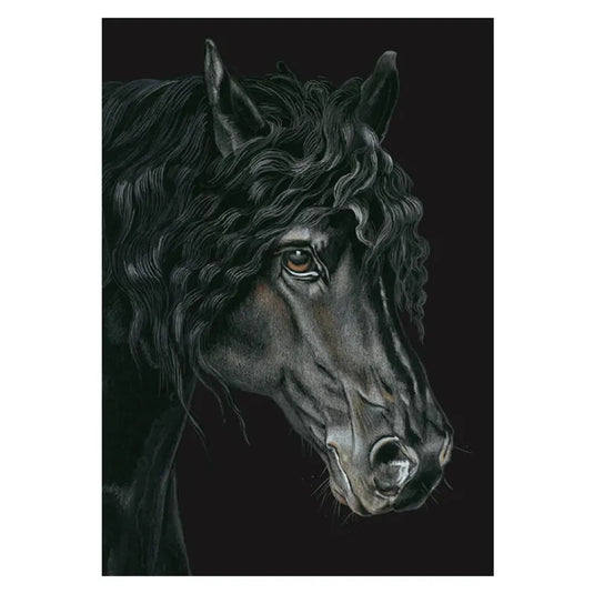 Deckled Edge Eureka! A4 Print Friesian - Ashurst Equestrian & Country