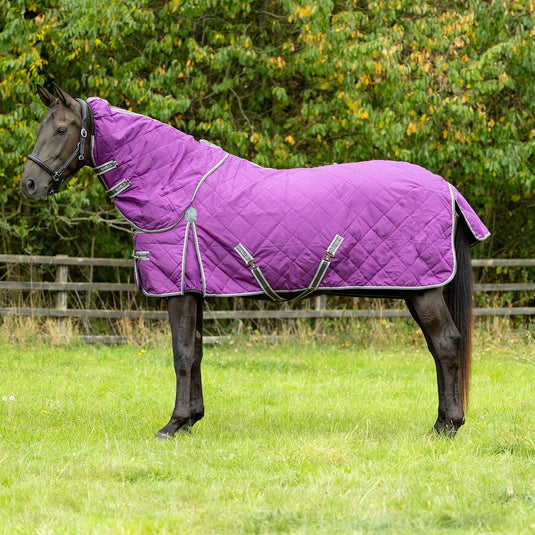 Defencex Shield 100 G Turnout Rug With Detachable Neck Purple - Ashurst Equestrian & Country
