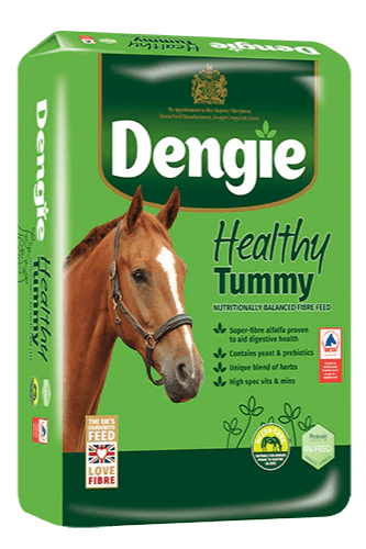 Dengie Healthy Tummy 20kg - Ashurst Equestrian & Country