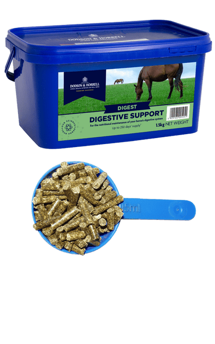 D&H Digestive Support 1kg - Ashurst Equestrian & Country