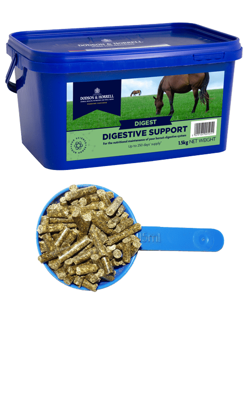 D&H Digestive Support 1kg - Ashurst Equestrian & Country