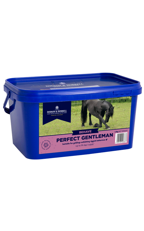 D&H Perfect Gentleman 1kg - Ashurst Equestrian & Country