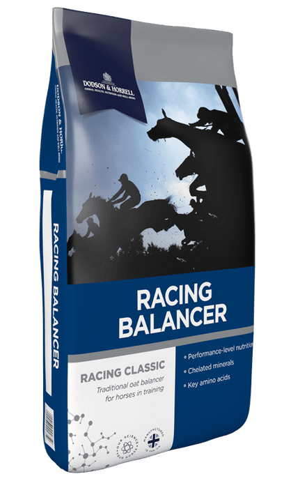 D&H Racing Balancer 20kg - Ashurst Equestrian & Country