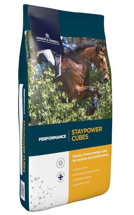 D&H Staypower Cubes 20kg - Ashurst Equestrian & Country